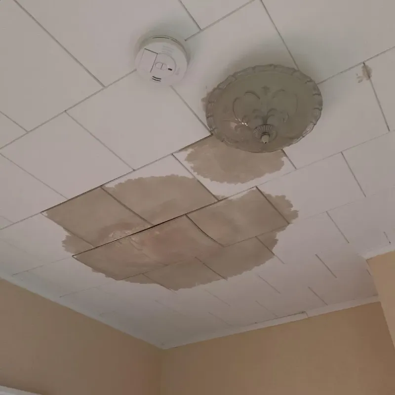 Ceiling Water Damage Repair in Royalston, MA